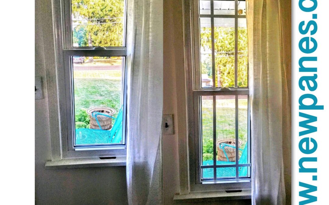 Colonial vs. Prairie Window Grids – Which Style Fits Your Home Best?